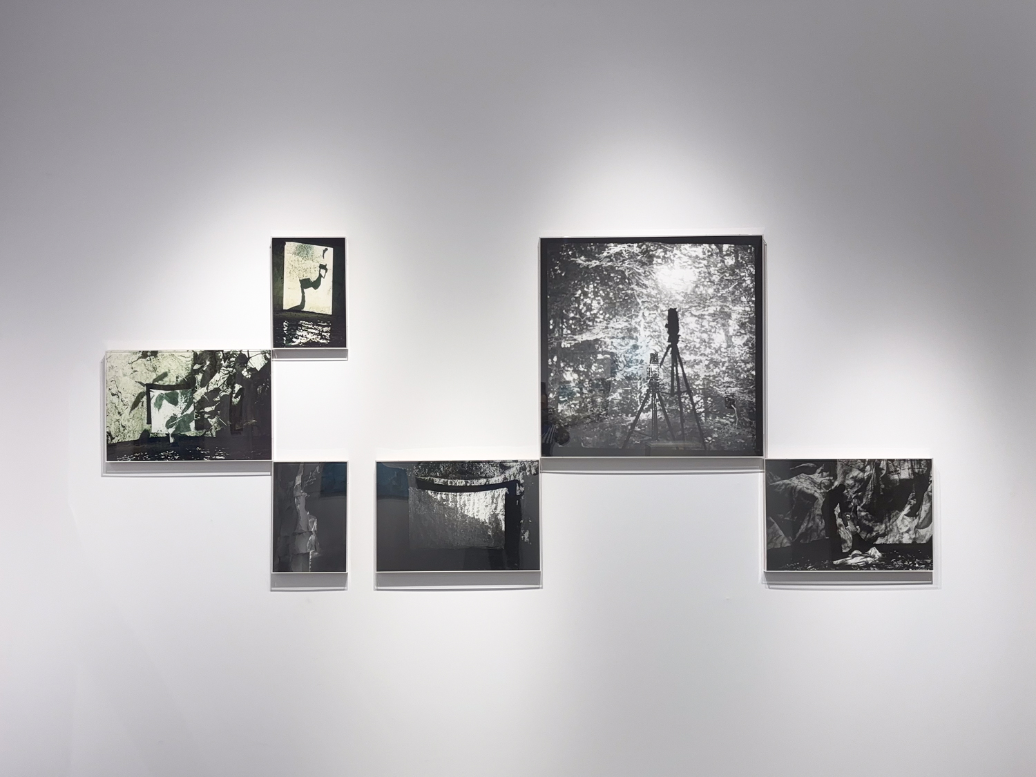 Jardin de craie Ruinart TEFAF, 2025 — Edouard Taufenbach Bastien Pourtout