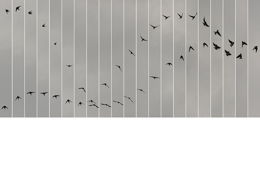 Le bleu du ciel - 01057001 — 2020 Edouard Taufenbach Bastien Pourtout