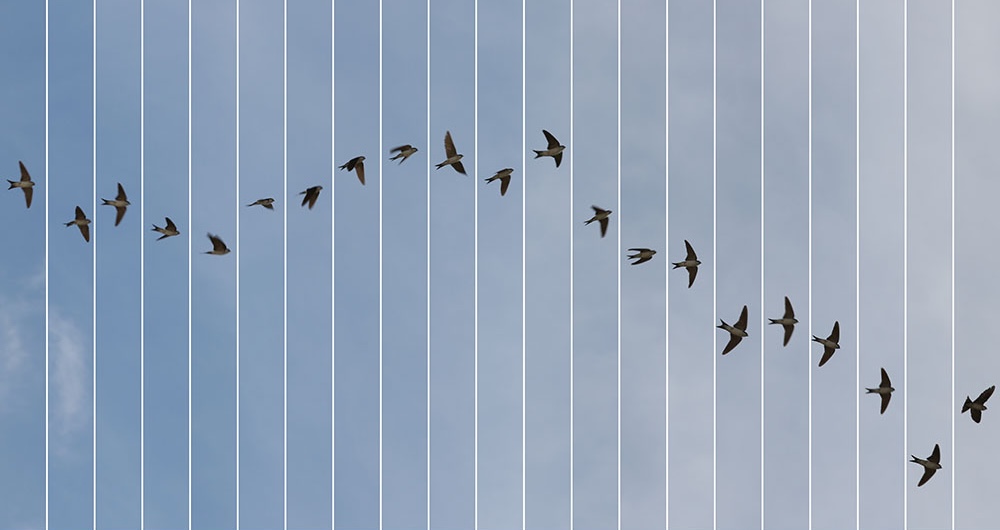 Le bleu du ciel - 01076010 — 2020 Edouard Taufenbach Bastien Pourtout