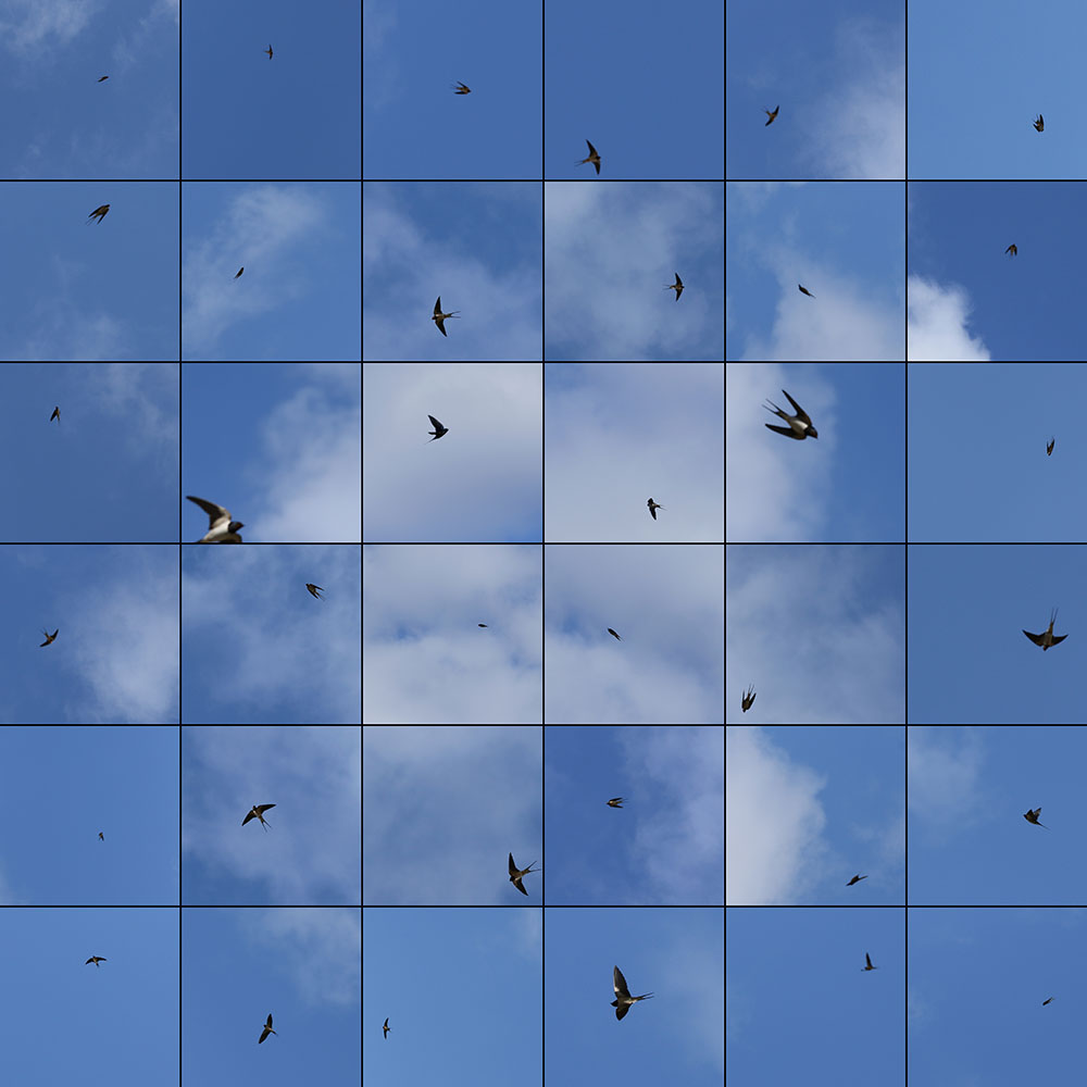 Le bleu du ciel - 06009001 — 2020 Edouard Taufenbach Bastien Pourtout